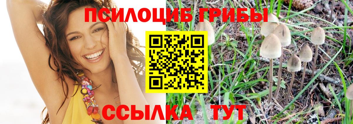 Люберцы  Галлюциногенные грибы GOLDEN TEACHER  Вход с VPN 