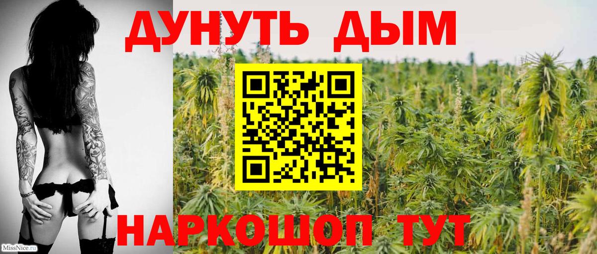 Бошки Шишки семена  Конопля ГИДРОПОН  Конопля Bruce Banner  Люберцы  Шишки марихуана планчик  Вход с VPN 